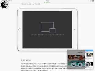 ピクチャ・イン・ピクチャ