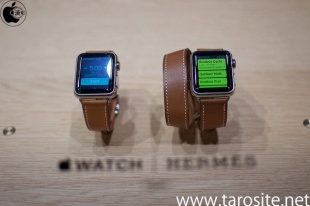 Apple Watch Hermes