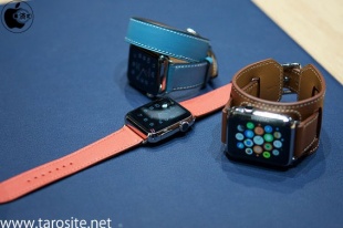 Apple Watch Hermes