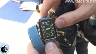 Apple Watch Hermes