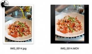 Live Photos ファイル構成