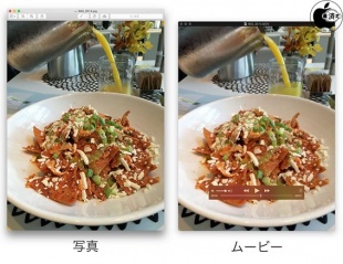 Live Photos ファイル比較