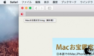 MACお宝鑑定団のページピンアイコン