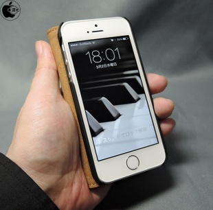 SHIELDON Genuine Leather Case for iPhone 5/5s