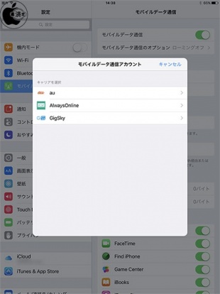 iPad Pro (9.7-inch) with Wi-Fi + Cellular 内蔵Apple SIM