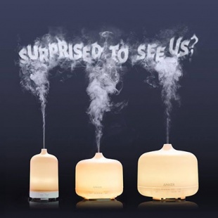 Anker Oil Diffuser