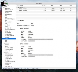 MacBook (12-inch, Early 2016)メモリ