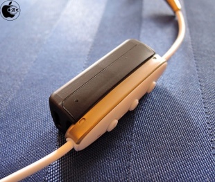 Jaybird Freedom Wireless