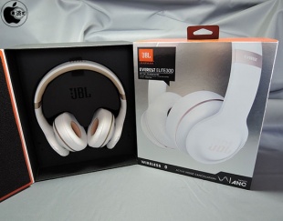 JBL EVEREST ELITE 300