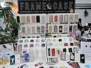 FRAME CASE