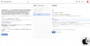 ウェブ向け Google Maps API