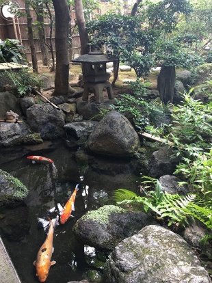 うなぎ 西本