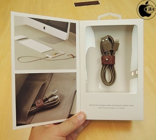 Native Union BELT Lightning-to-USB 1.2M Cable