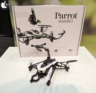 Parrot Mambo