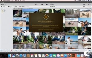 Adobe Elements Organizer 15