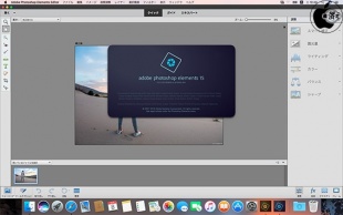 Adobe Photoshop Elements 15