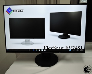 FlexScan EV2451