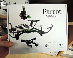 Parrot Mambo