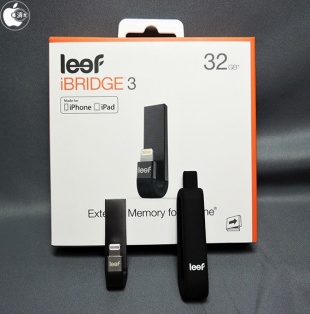 Leef iBRIDGE3