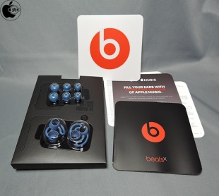 BeatsXイヤフォン