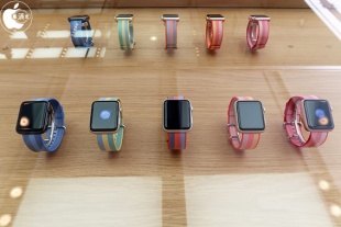 ウーブンナイロン（2017）