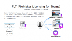 FileMaker Licensing for Teams