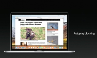 Safari