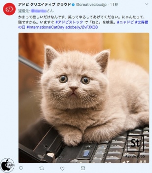 #ニャドビ