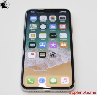 iPhone X