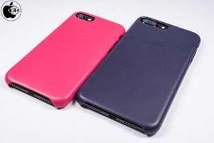 ピンクフクシア/ダークオーバジーン