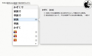 macOS High Sierra:辞典参照