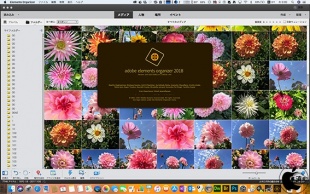 Adobe Elements Organizer 2018