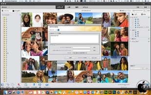 カタログのバックアップ