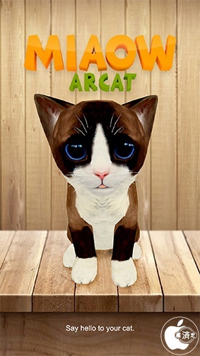 Miaow: Your Exclusive AR Pet
