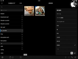 Pixave for iPad