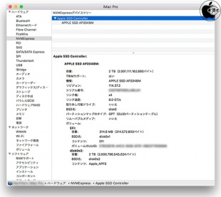 iMac Pro (2017) 2TB SSD(AP2048M)