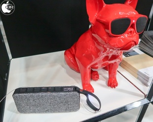 Tangent Pebble Splash/AeroBull XS1