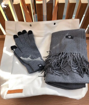 DJI Mavic Air 発表会のお土産