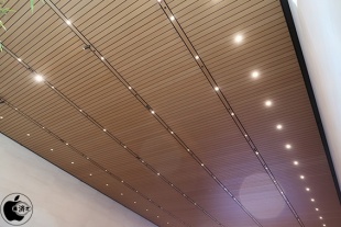 Apple Garosugil