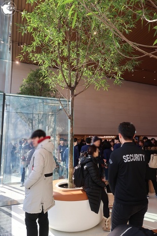 Apple Garosugil