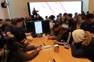 Apple Garosugil