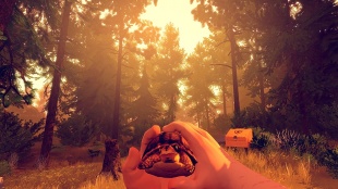 Firewatch 1.0.8