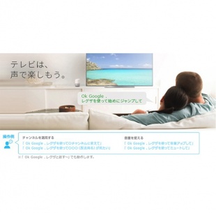 4Kレグザ：Google アシスタント