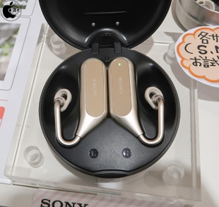 Xperia Ear Duo