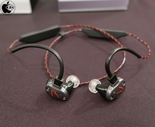 PureSonic Premium Wireless Earbuds