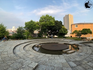 Super-Wide lens for iPhone X