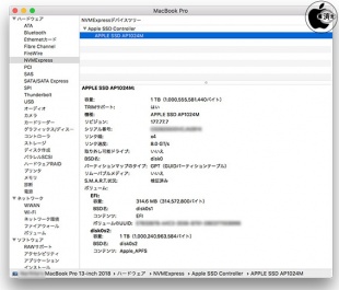 APPLE SSD AP1024M