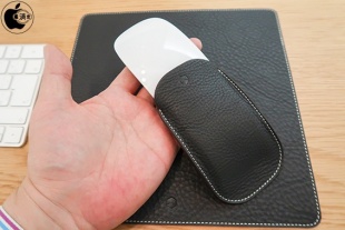 SLG Design Minerva Box Leather Pouch