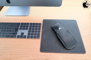 SLG Design Minerva Box Leather Pouch