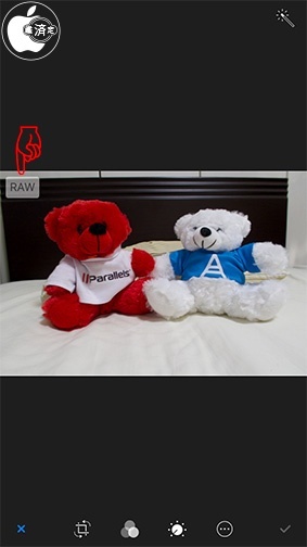 iOS 12：RAW画像編集